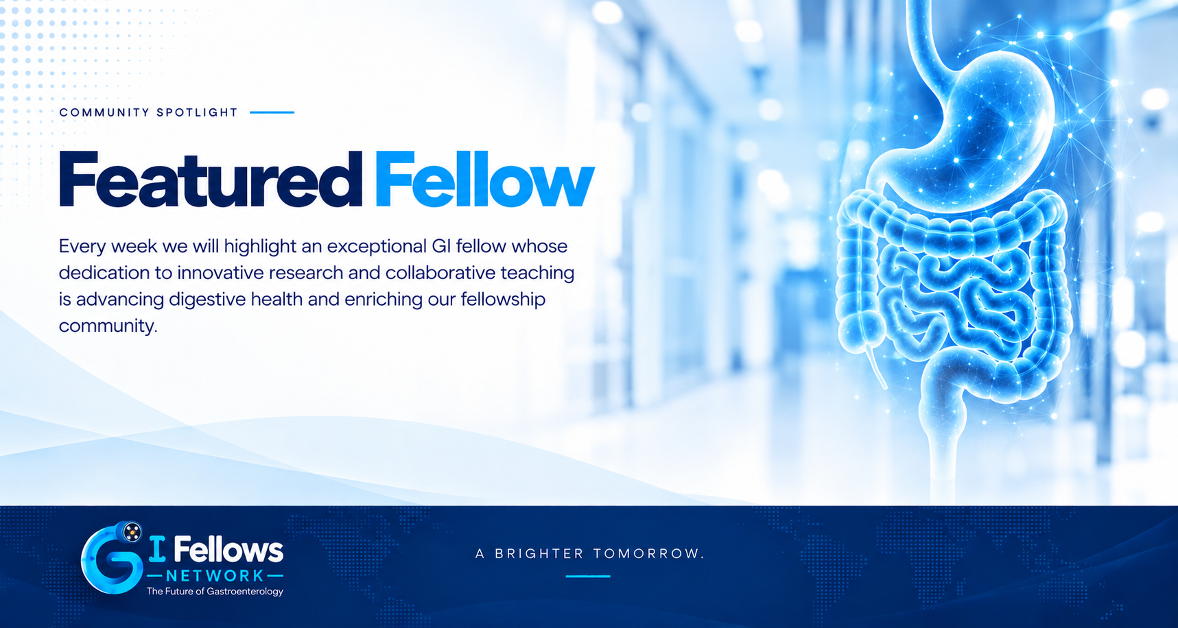 Fellows spotlight